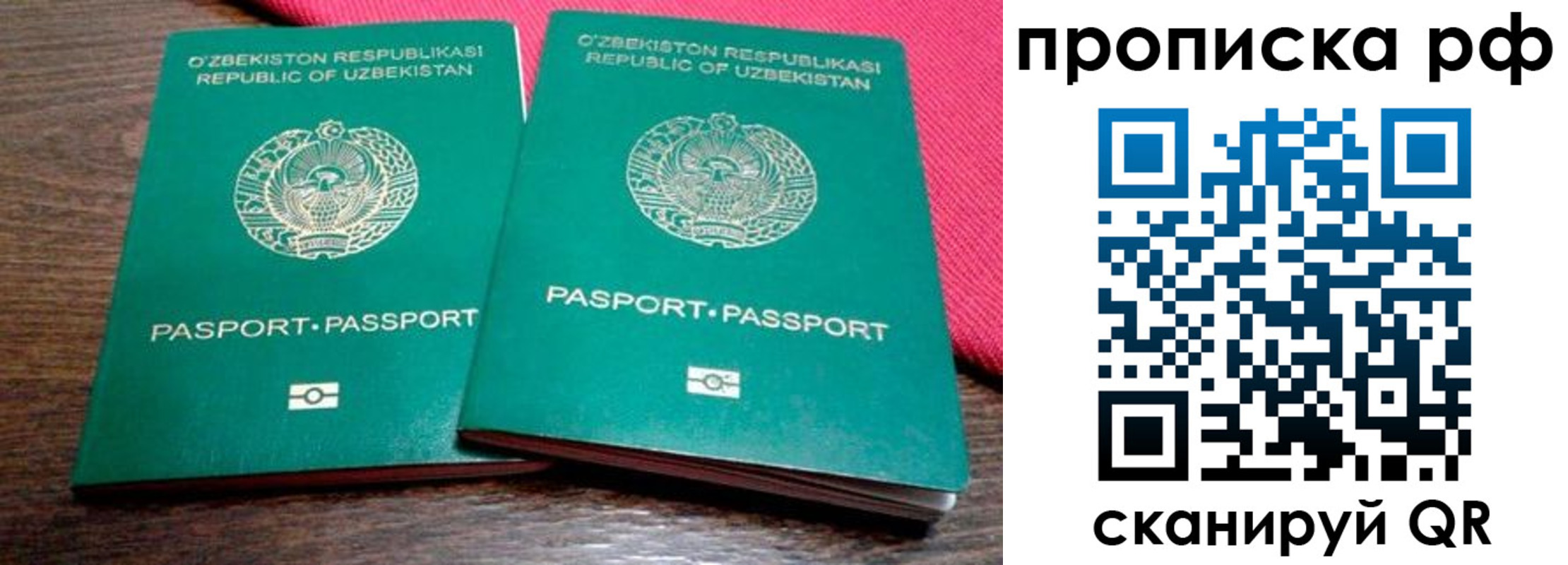 прописка в квартире в Брянске